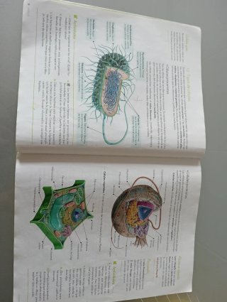 Biología y Geología : 3 ESO