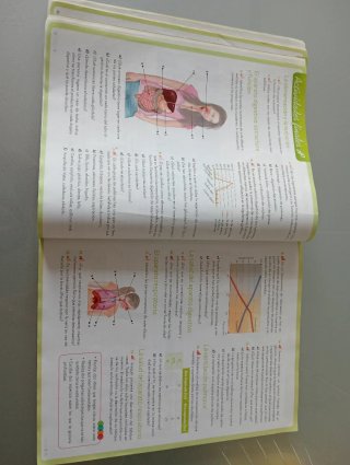 Biología y Geología : 3 ESO