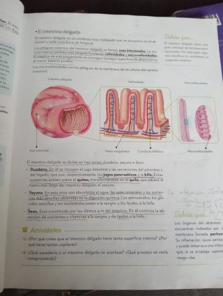 Biología y Geología : 3 ESO