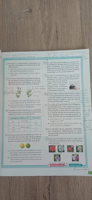 Biología y Geología, 4 Secundaria, Comunidad Va...