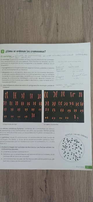 Biología y Geología, 4 Secundaria, Comunidad Va...