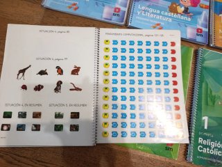 Lote libros revuela 1 de primaria