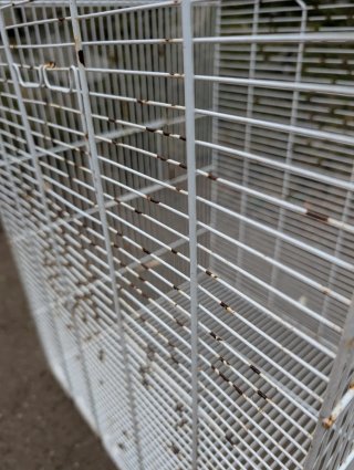 Jaulas para pájaros