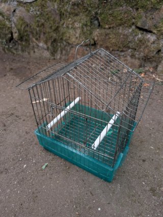 Jaulas para pájaros