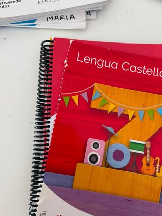 Lote de libros/cuadernos de Primaria 2