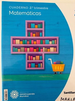 Lote de libros/cuadernos de Primaria 2