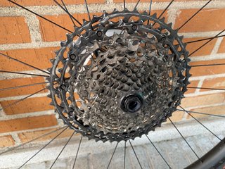 Ruedas Orbea OC XC Team Carbono 29