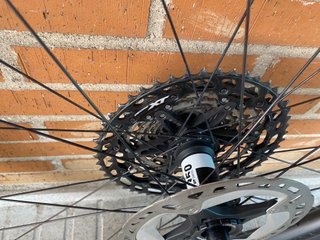 Ruedas Orbea OC XC Team Carbono 29
