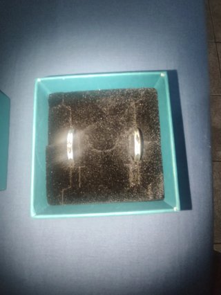Alianzas de compromiso Roselin Plata