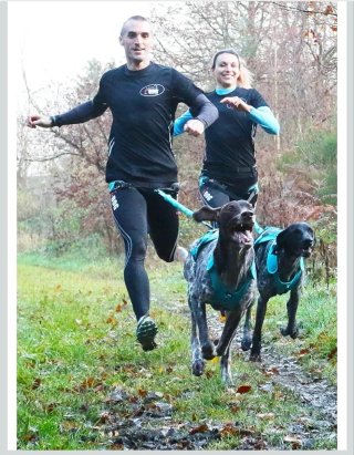 Arnés de Canicross I-Dog X-Back Phoenix ALM