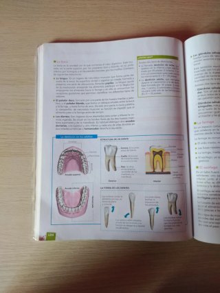 Anatomía aplicada Bachillerato 1 ANAYA