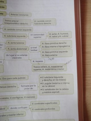 Anatomía aplicada Bachillerato 1 ANAYA