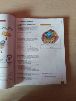 Anatomía aplicada Bachillerato 1 ANAYA