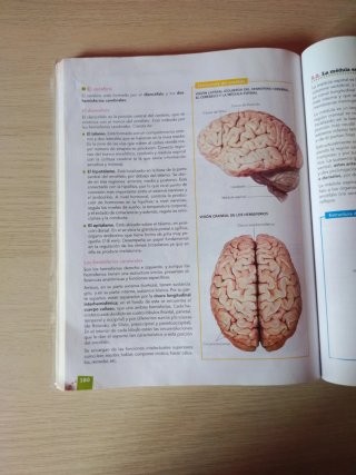 Anatomía aplicada Bachillerato 1 ANAYA