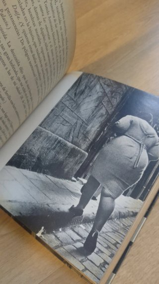 IZAS, RABIZAS Y COLIPOTERRAS. Camilo José cela