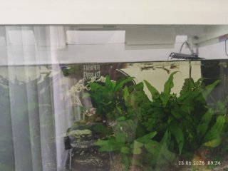 Acuario blanco con mueble y peces