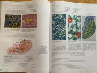 Biología, 2 bachillerato, Revuela Guía del prof...