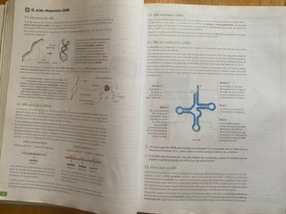 Biología, 2 bachillerato, Revuela Guía del prof...