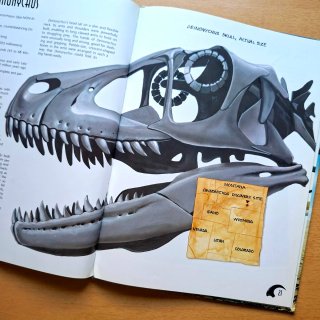 Libro Dinosaurios Raptors!