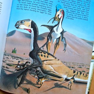 Libro Dinosaurios Raptors!