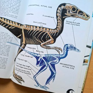 Libro Dinosaurios Raptors!