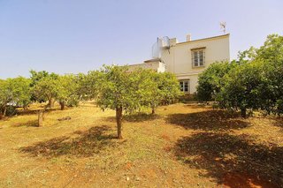 Casa rural en alquiler en Ardelejos - Cuesta de la Palma - Buenavista en Alhaurín el Grande