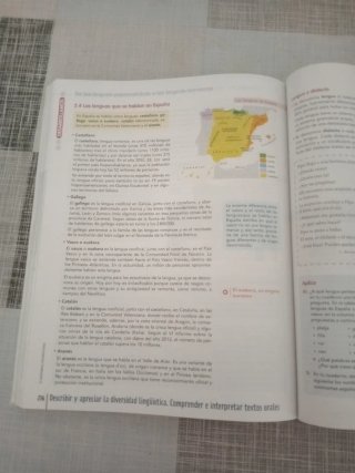 Lengua castellana y literatura