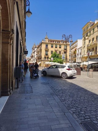 Local comercial en alquiler en Alfalfa en Sevilla