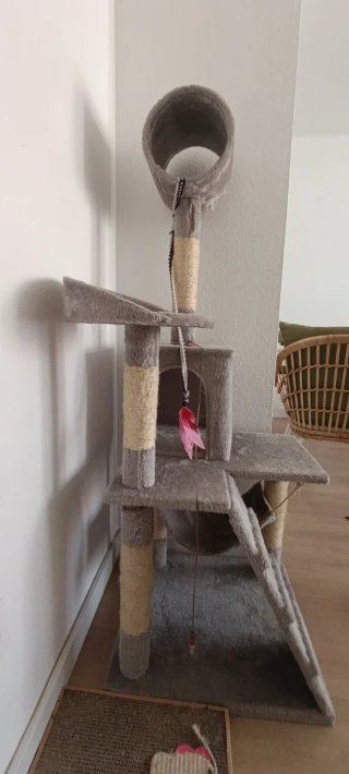 Torre rascador para gatos
