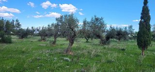 Terreno en venta en Roquetes