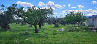 Terreno en venta en Roquetes