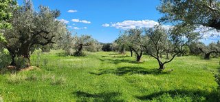 Terreno en venta en Roquetes