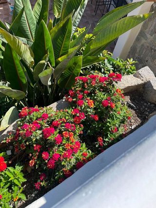 Chalet en alquiler en Mangas Verdes - Las Flores - Parque del Sur en Málaga