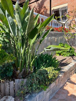 Chalet en alquiler en Mangas Verdes - Las Flores - Parque del Sur en Málaga