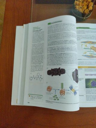 Biología, Bachillerato 2