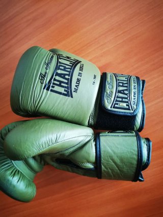 Guantes de Boxeo Charlie Made in Hell