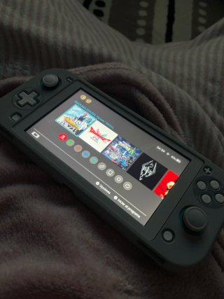 Nintendo Switch Lite Gris