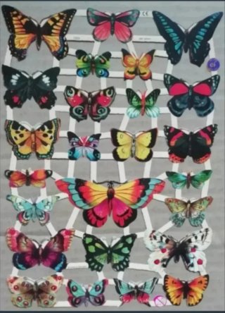 Lamina Cromos troquelados EF 7324. Mariposas