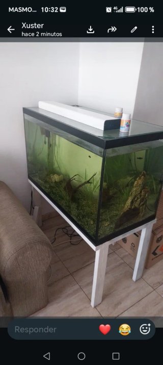 Pecera grande con accesorios 300 litros