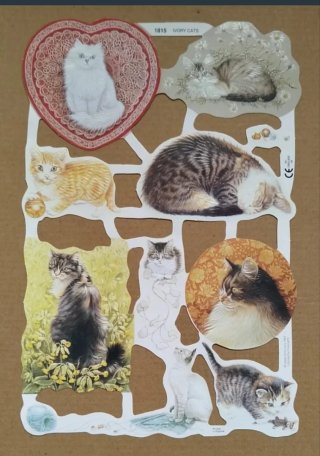 Lamina Cromos troquelados MLP 1815. Gatos