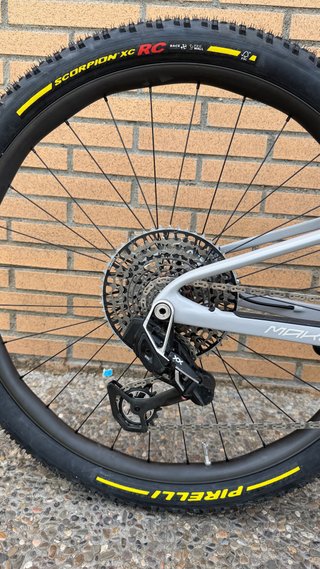 BERRIA MAKO EVO