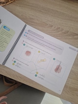Música, Nou acords, 2 Primària, Projecte Constr...