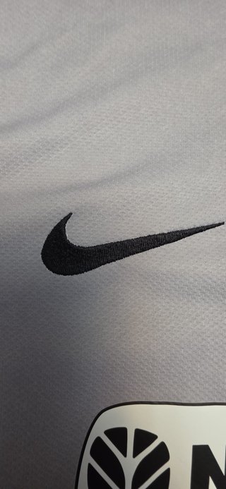 Camiseta Juventus Nike Gris 2009