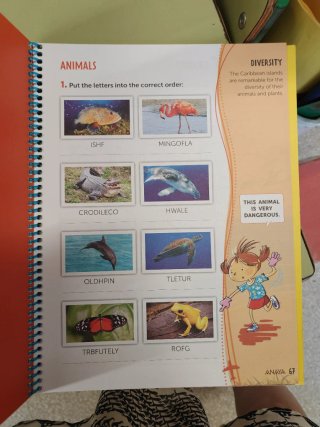 Rumbo a 2o de Primaria refresca lo que has apre...