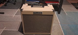 Amplificador Roland Blues Cube Hot+funda acolchada