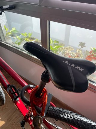 Bicicleta Montaña NTT 29