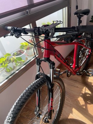 Bicicleta Montaña NTT 29