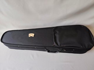 Violín 4/4 brillante con estuche y arco - Nuevo