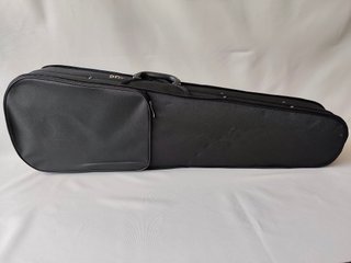 Violín 4/4 profesional con estuche y arco - Nuevo