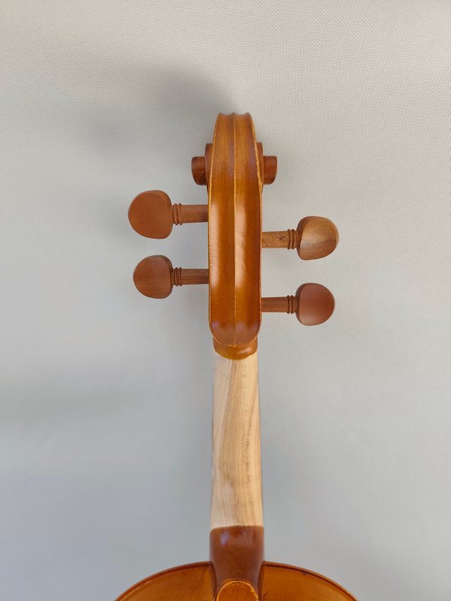 Violín 4/4 con estuche y arco - Legno (nuovo)